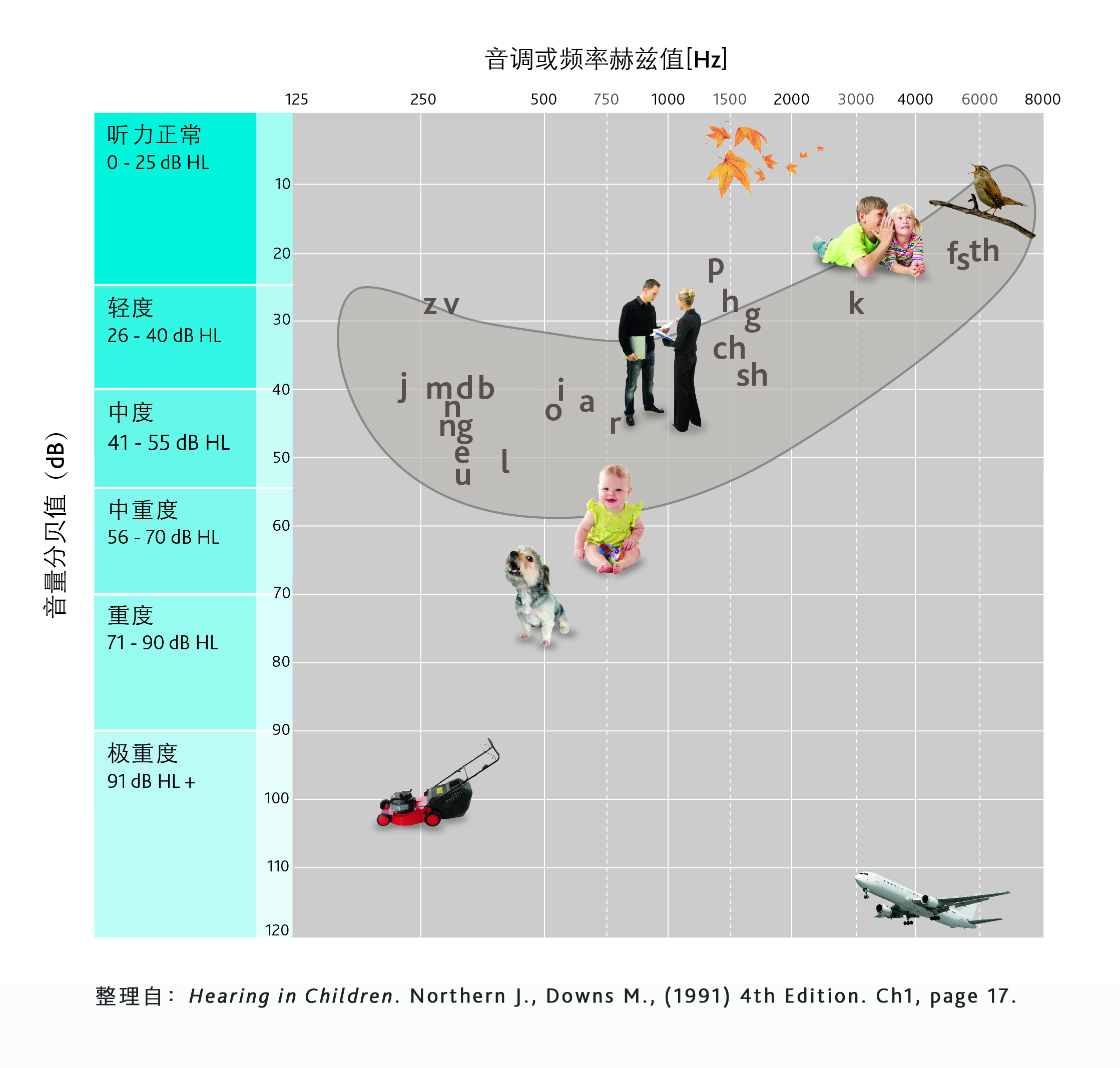 听力图显示听力损失的不同程度及其测量的音量和频率范围。
